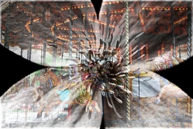 Garden Reflections II 5